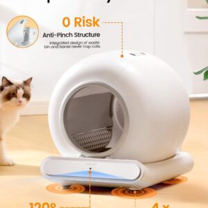 cat litter box