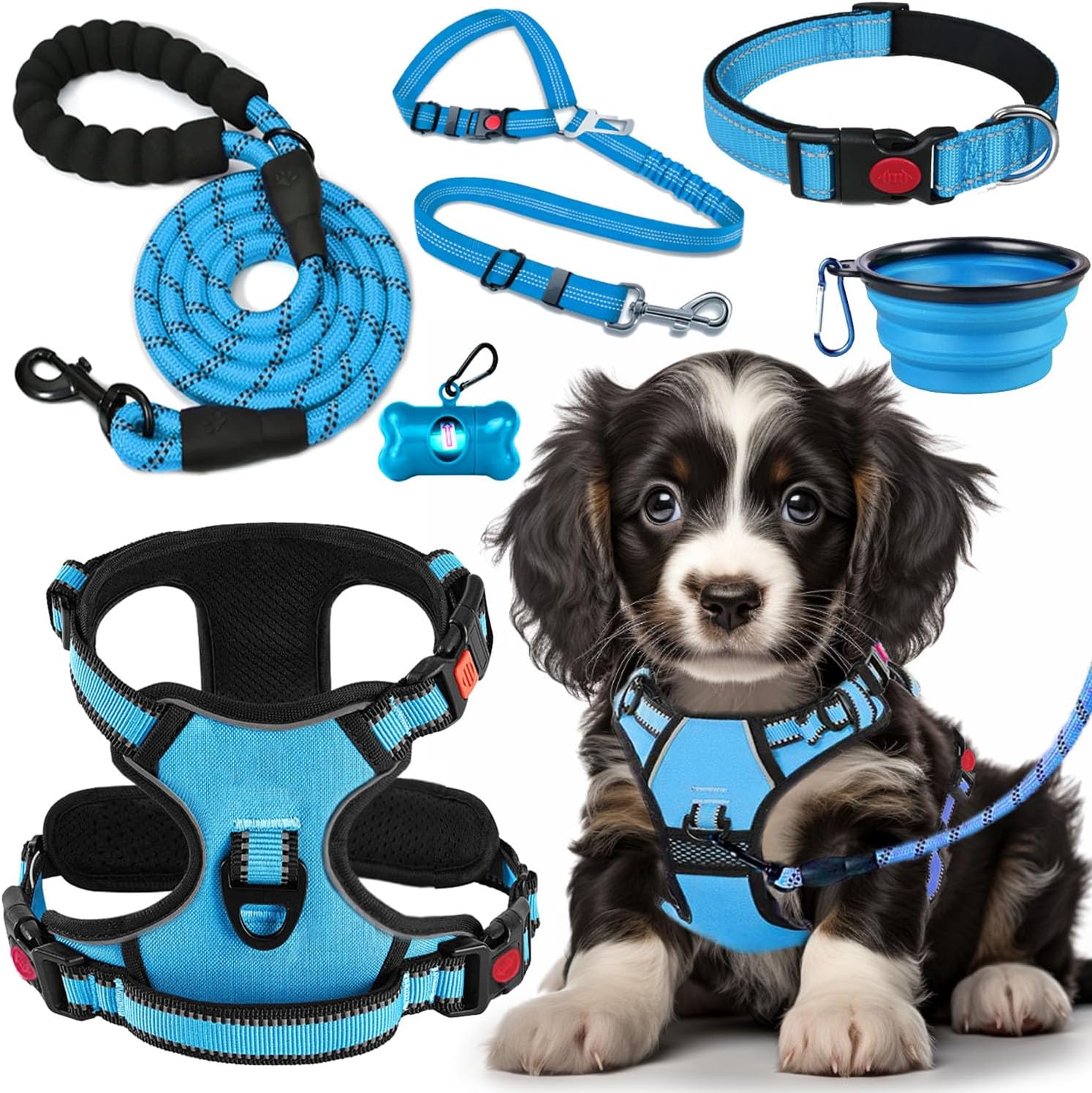 dog collar and leash set