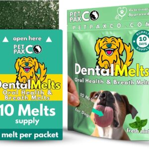 dog dental care